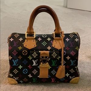 Louis Vuitton Speedy 30 Multicolor